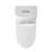 1.1/1.6 GPF Dual Flush One-Piece Toilet-111875221