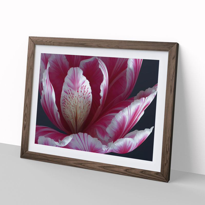 Enlightening Flower - Single Picture Frame Print, 46cm H x 64cm W x 2cm D, Walnut Framed