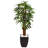65'' Faux Palm Tree in Stone Planter