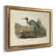 Audubons Blue Heron - cadre photo, impression sur toile