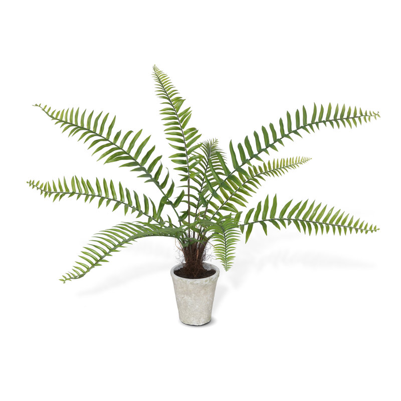 18'' Green Plastic Potted Fern in Ceramic Pot