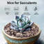 Natural Stone Landscape & Nature Garden Stone