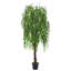 195cm Plant