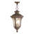 Ahtziry 3 - Light Outdoor Hanging Lantern-215406789-215406788