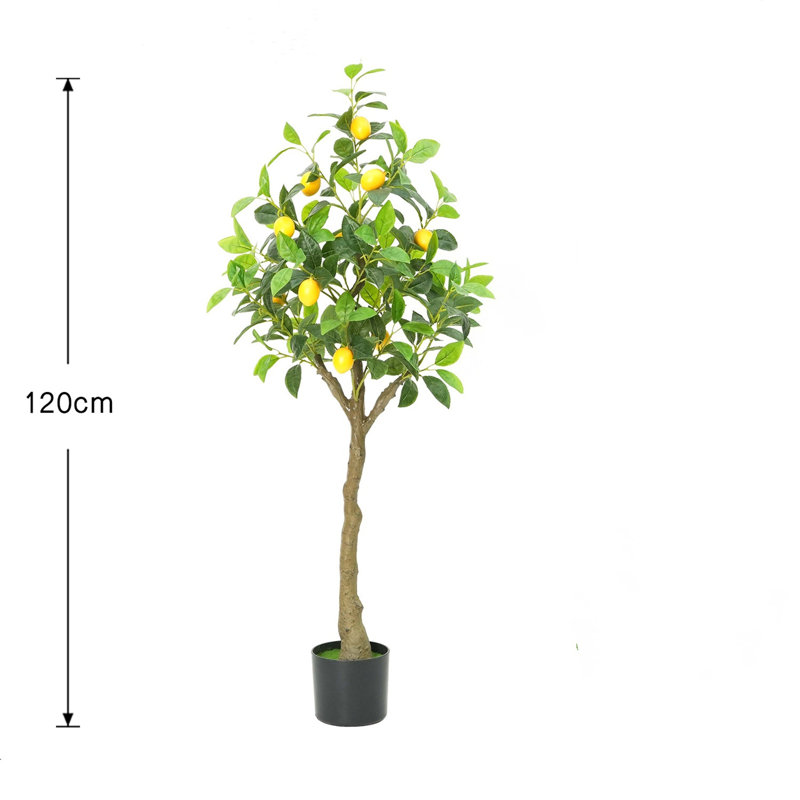 Anayeli Tree, 120cm H x 20cm W x 20cm D