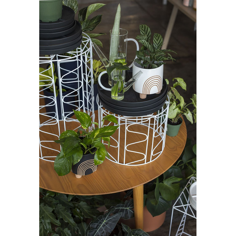 Support pour plante à piédestal Groene, H 22 po x L 14 po x P 14 po