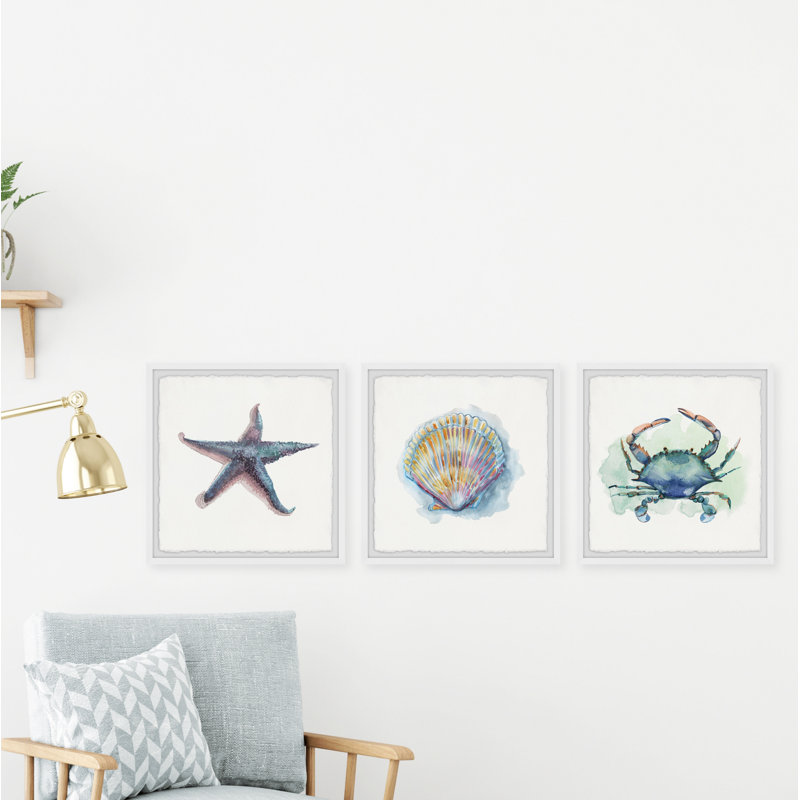 Lucero Sea Shore Gems by Marmont Hill - 3 Piece Single Picture Frame Painting, 30cm H x 30cm W