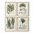 Bold Shape Shift II Framed Print - Set of 4-1251737016-1251737021