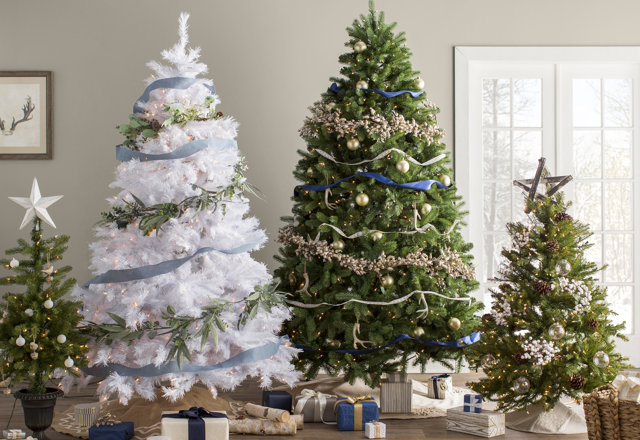 Our Top Christmas Trees