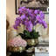 Arrangement floral orchidées dans un pot-267535409