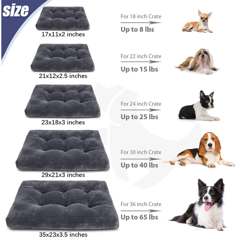 Lits pour chien Eibhlis, H 2 po x l 11 po x P 17 po, Gris