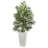 Areca Palm Tree in Planter