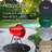 Plastic Grill Grid Mat-58234181-102239967