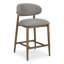 Deloris 26.5" Counter Stool-468025748