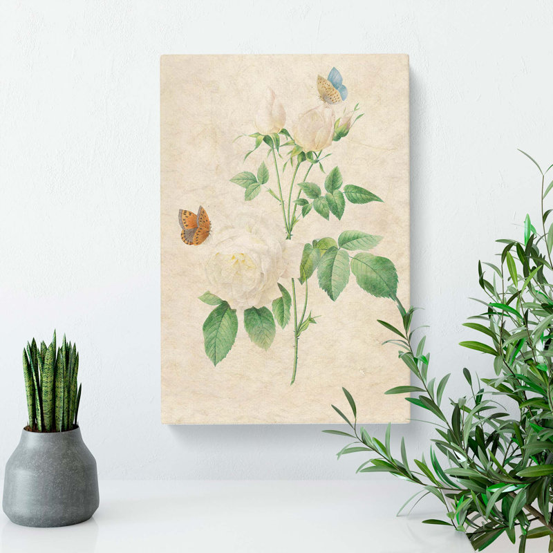 Butterflies & White Roses by Pierre-Joseph Redoute - Wrapped Canvas Painting, 76cm H x 50cm W x 3cm D