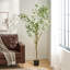 200 cm de feuilles artificielles EUCALYPTUS BONSAï