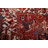 Vegetable Dye   Large Rug 11x15