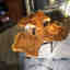 Photos des clients 1 de 2