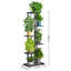 Plant Stand-1721249562