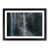 Black Framed