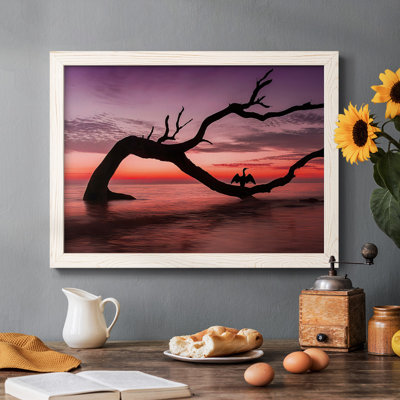 " Photography Study Sunset Beach "