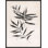 Wild Flora II Print by David Erickson