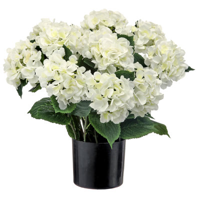 22" Potted Garden Hydrangea