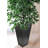 Planter Box-50844507-50844506
