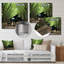«Black Piano Forest Melody - Fruits», art mural en métal-1524280381