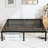 Galpin Queen 18'' Bed Frame