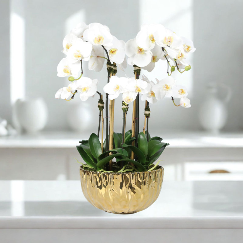 Arrangement d'orchidées dans un vase, Doré