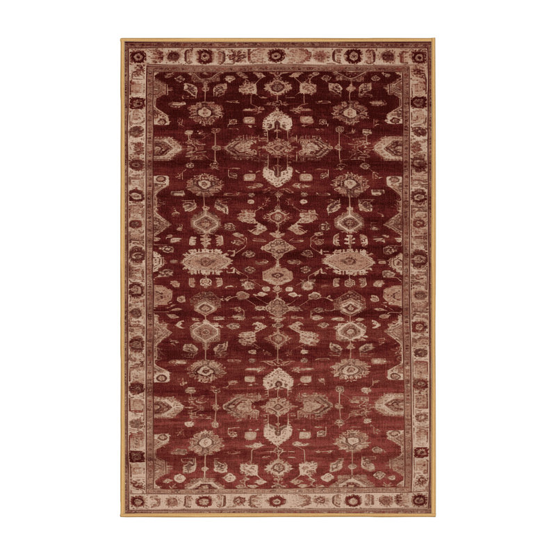 Machine Washable Overdyed Brown Area Rug, Rectangle 5' x 8'