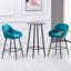 Sunni 67cm Velvet Upholstered Arm Bar Stool with Footrest-1674233844