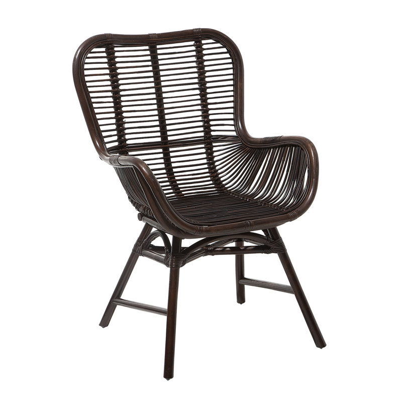 Gaelen Patio Dining Armchair with Cushion, Brown