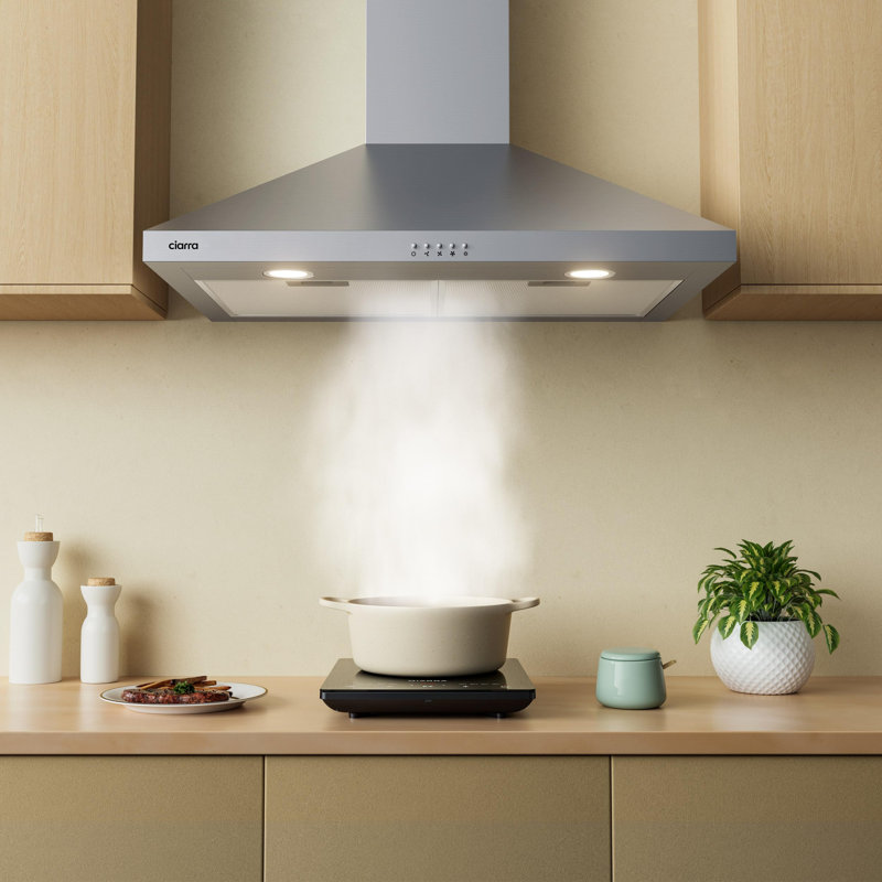 Jeremy Cass LLC 30" Stainless Steel 450 CFM Ducted (Vented) Wall Range Hood