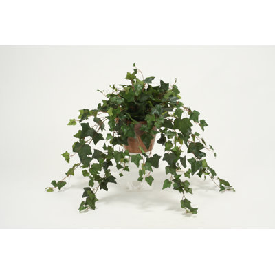 12'' Faux Ivy Plant in Terracotta Pot
