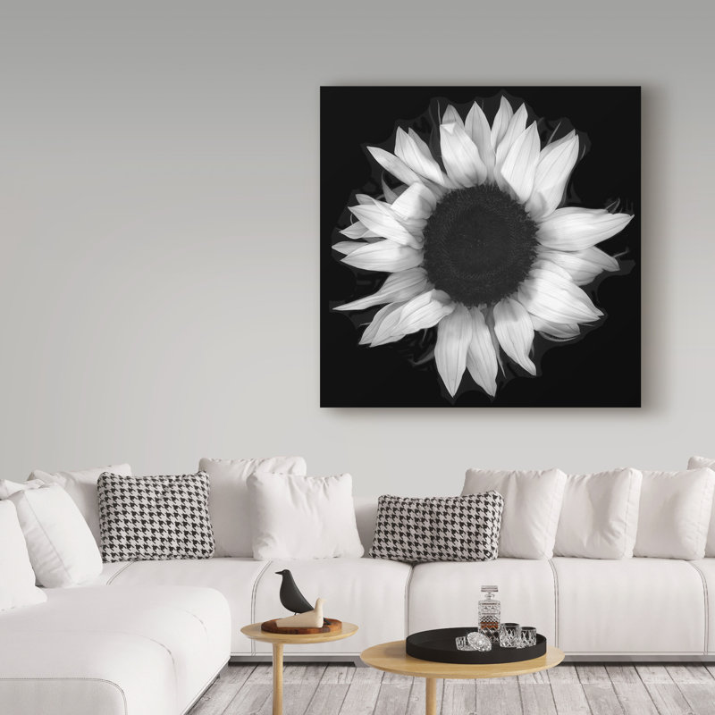 Dosta «Sunflower 1 Black and White», impression sur toile tendue, H 35 po x l 35 po x P 2 po