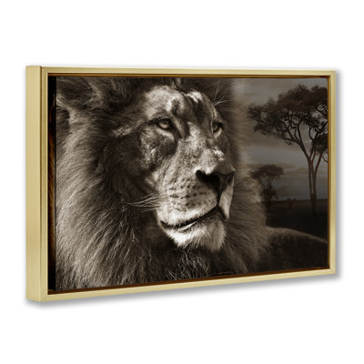 Lion Portrait over Savanna