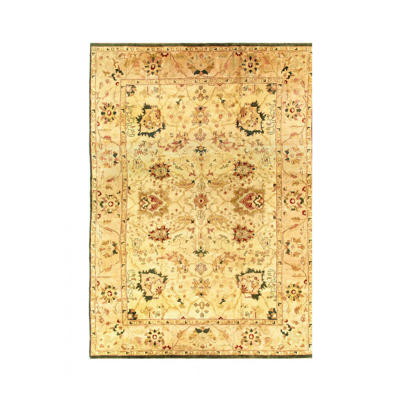 Fine Hand Knotted Agra rug 12' X 17''