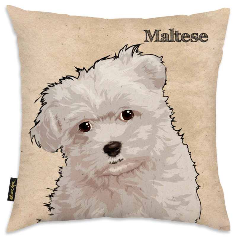  Coussin Maltese