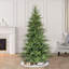 Germelino 6.5' Lighted Artificial Spruce Christmas Tree