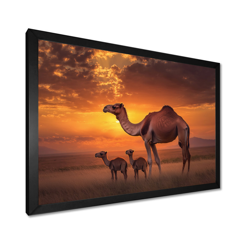 Afrique, paysage de chameaux au coucher du soleil - art mural imprimé chameau, H 12 po x l 20 po, Noir