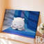 Reproduction d'art sur toile, "Mignon"-25210353
