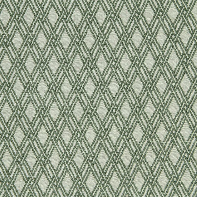 Tissu en forme de panier, Aloès