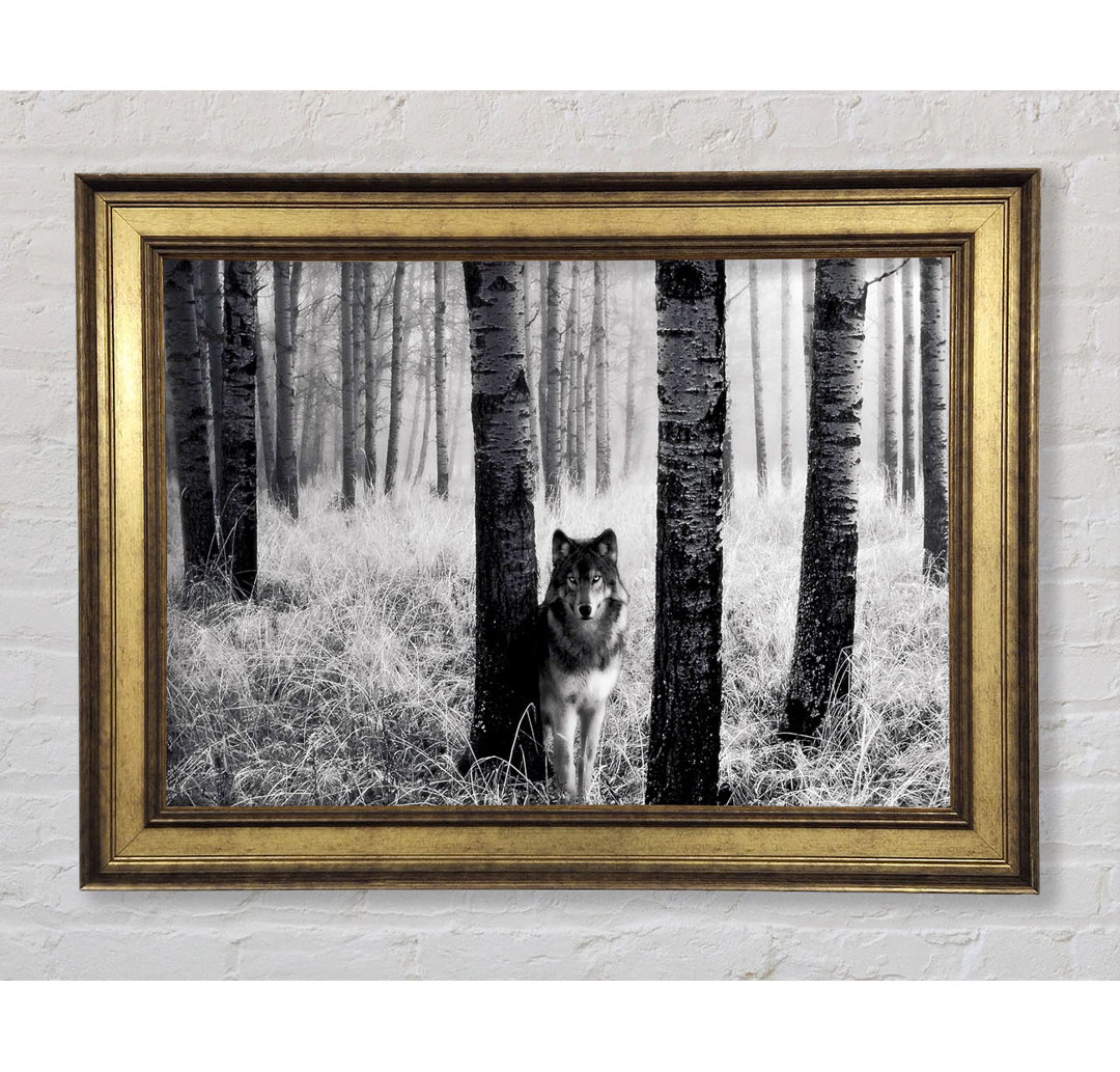 Forest Wolf - Bilderrahmen Kunstdrucke