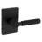 Prava Keyed Entry Lever featuring SmartKey Security-103966790