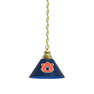 1 - Light Single Pendant