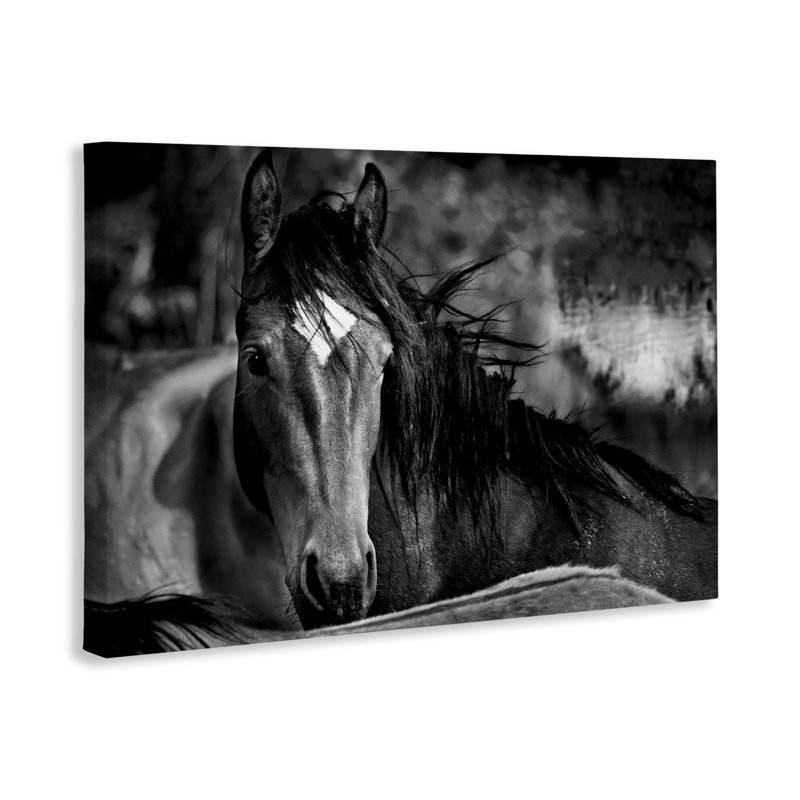 «Watchful Presence Horse Canvas», conception par Wendy Caro, H 16 po x l 24 po