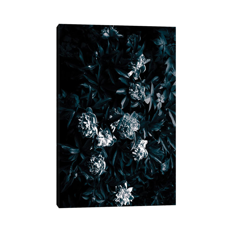Florals After Dark - Wrapped Canvas Print, 20.32 cm H x 30.48 cm W