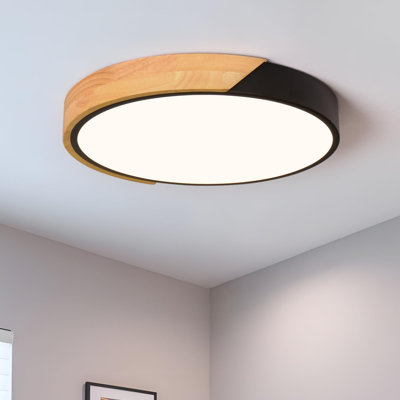 Modern LED Ceiling Light